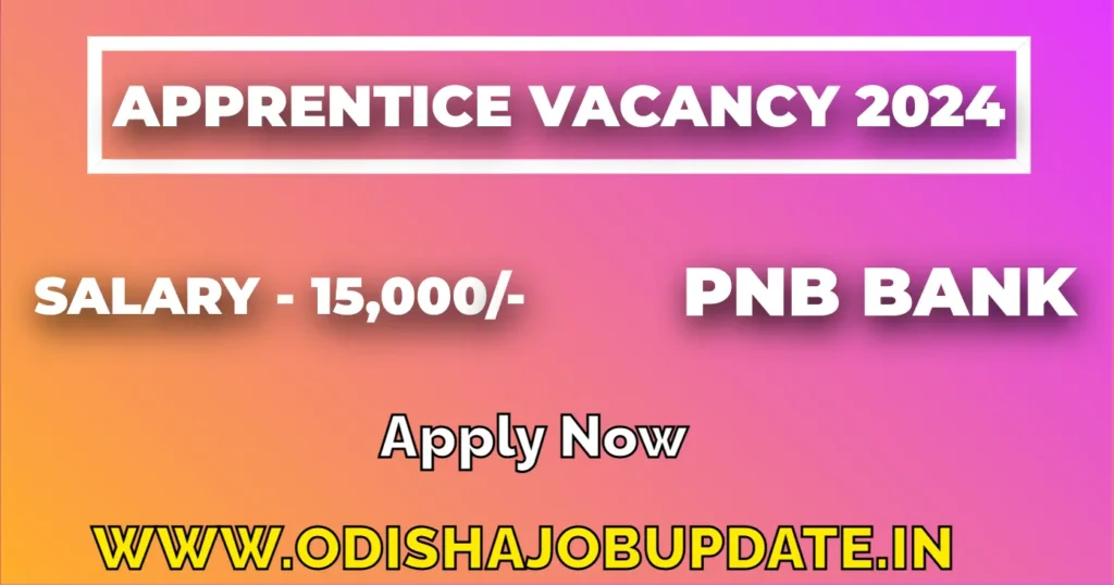 PNB Apprentice Vacancy 2024 Notification Apply Online Now PNB Apprentice Vacancy 2024
