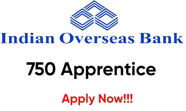 IOB Apprentice Recruitment 2025: Apply Now Bank Jobs In Odisha And Check Eligibility, Salary IOB Apprentice Recruitment 2025